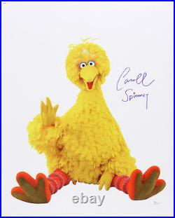 1969-2016 Caroll Spinney Big Bird Sesame St LE Signed 16x20 Color Photo (JSA)