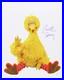 1969-2016-Caroll-Spinney-Big-Bird-Sesame-St-LE-Signed-16x20-Color-Photo-JSA-01-eb