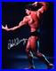 Arnold-Schwarzenegger-signed-11x14-Picture-Photo-autographed-includes-COA-01-kxag