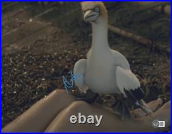 Awkwafina Signed 11x14 Photo The Little Mermaid Authentic Autograph Beckett