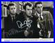 Bill-Murray-Dan-Aykroyd-Harold-Ramis-signed-8x10-Photo-autographed-Nice-COA-01-xnum
