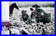Charmaine-Bingwa-Signed-Emancipation-B-W-11x14-Photo-Authentic-Autograph-JSA-COA-01-orfn