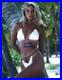 Christie-Brinkley-Signed-Autograph-Vacation-11x14-Photo-Beckett-Bas-01-jese