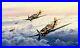 Eagles-Out-of-the-Sun-by-Robert-Taylor-Signed-by-twelve-Luftwaffe-Aces-01-tnvd