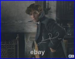Eddie Redmayne Signed Autograph Fantastic Beasts 11x14 Photo Beckett Bas