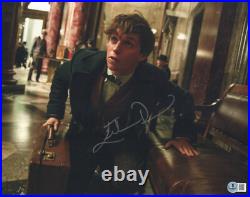Eddie Redmayne Signed Autograph Fantastic Beasts 11x14 Photo Beckett Bas