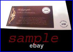 GLEN HANSARD Signed 8x10 Photo with Hologram COA