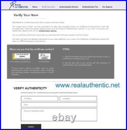 George Clooney, Brad Pitt, Matt Damon Hand Signed Autograph 8 x 12 Photo With COA