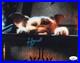 Howie-Mandel-autographed-signed-8x10-photo-Gremlins-JSA-COA-01-hz