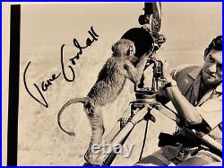 Jane Goodall, Primatologist Chimpanzee Signed 6x9 Auto Photo Beckett BAS Op