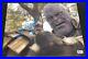 Josh-Brolin-Signed-Autograph-11x14-Photo-Avengers-Endgame-Thanos-Beckett-BAS-C-01-nm