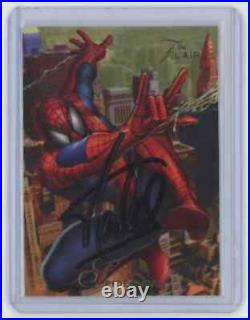 Marvel Cards Spider Man Signed Autographed By Stan Lee