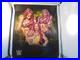 Sasha-Banks-Signed-Canvas-16x20-Bsc-Coa-Autograph-Wwe-Diva-Sexy-Tough-Rare-01-ii