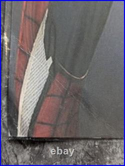 Thomas Stanley Holland Spider-Man Rare Signed Autographed 11x14 Photo with COA