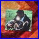 Will-Smith-Signed-8x10-Photo-COA-Autograph-Men-In-Black-01-qmg